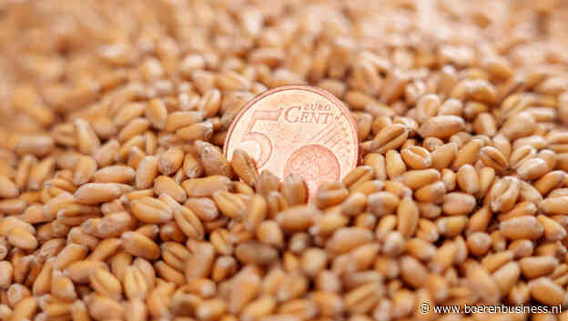 Tarwe zakt sinds lange tijd onder de 200 euro