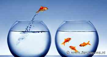 ERP-leverancier Nocore wordt onderdeel van zvoove