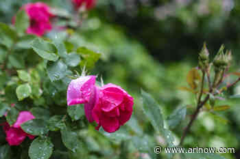 Morning Notes for May 9, 2025