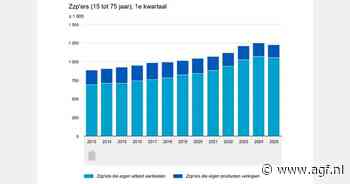 Afname aantal zzp’ers na jarenlange stijging