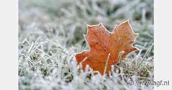 Opnieuw flinke vorst in Polen