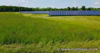 Massive solar farm as big as 1,800 football pitches approved east of Selby