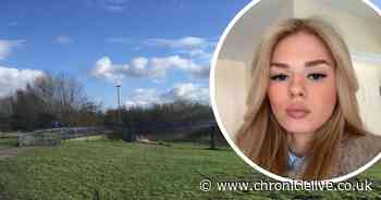 North East teen in agony after terrifying dog attack left her covered in blood