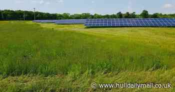East Yorkshire solar farm capable of powering 100,000 homes receives approval