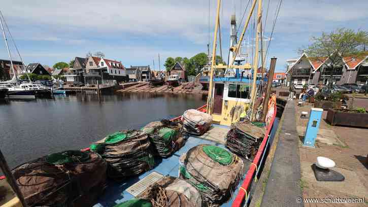 Hongerige paling laat zich hopelijk goed vangen door IJsselmeervissers