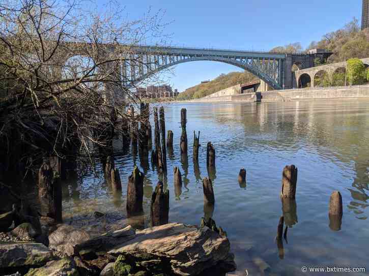 Torres calls on City Hall to fund Harlem River Environmental Restoration Project