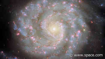 Face to face with a galaxy | Space photo of the day for May 9, 2025