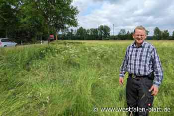 PV-Anlage eigentlich zu klein