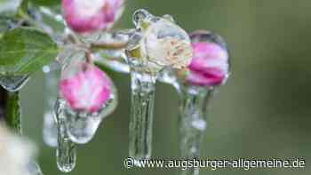 DWD warnt für Samstag vor Frost in Bayern: Diese Landkreise sind betroffen