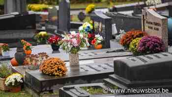 Laatste rustplaats in Puurs-Sint-Amands wordt duurder, maar niet zo duur als in buurgemeenten: “Begraafplaatsen met parkeerplaatsen vergelijken, dat gaat niet”