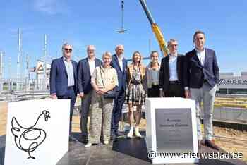 We eten alsmaar meer kippenvlees, maar kwekers verzuipen in milieuregels: gigantisch kippenlaboratorium moet “voorbeeld” zijn voor de wereld