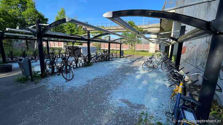 Vandalen veroorzaken ravage op station, alle glazen overkappingen vernield