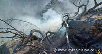 Major wildfires warning issued in Northumberland with temperatures set to soar