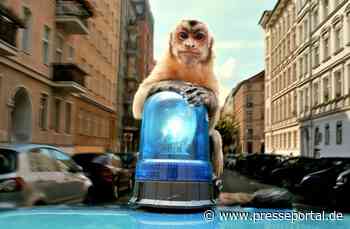 Deutscher Filmpreis für NDR Kino-Koproduktion „Akiko, der fliegende Affe“