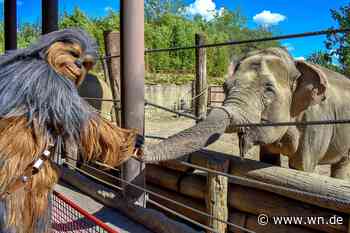 Galaktisches Wochenende im Allwetterzoo