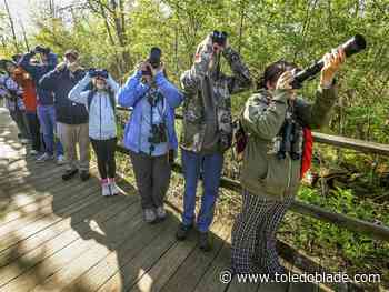 Hundreds kick off the Biggest Week in American Birding