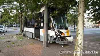 Tram ontspoort aan Vlinderpaleis en rijdt tegen boom en paal