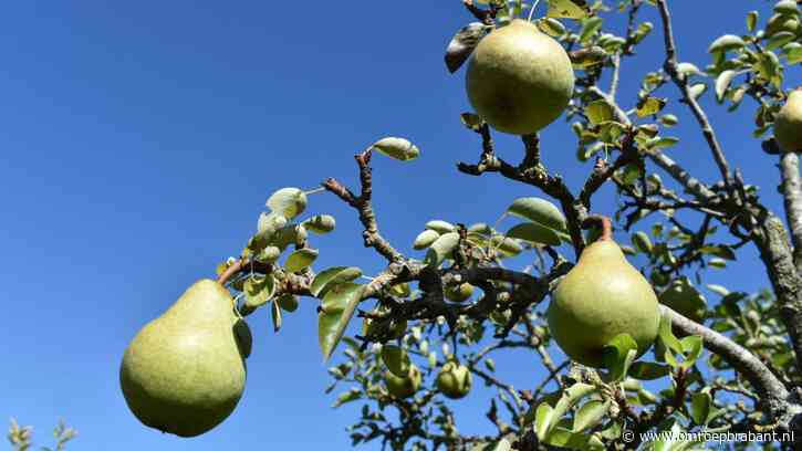 Langer wachten op plannen bestrijdingsmiddelen van provincie
