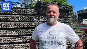 Shredder helps recycle 'half a footy field' of plastic from oyster farms