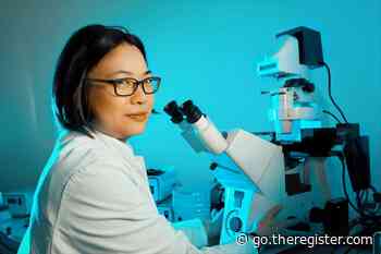 US govt's science foundation purges 37 divisions, equity unit among casualties