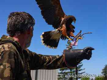 Photo Gallery: Ohio School Of Falconry intro class at Nature's Nursery