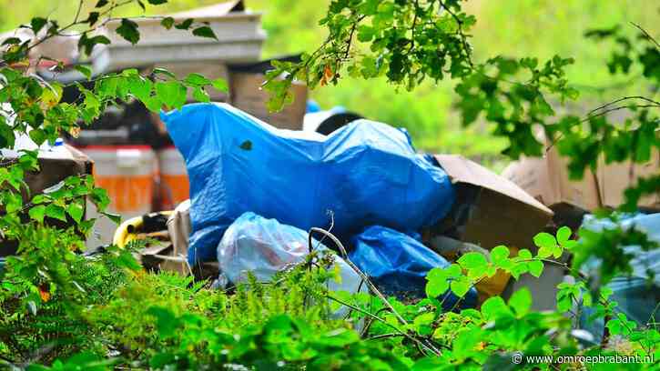 Weinig enthousiasme bij de provincie voor meer boa's in het buitengebied