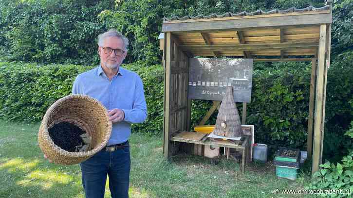 Twintigduizend bijen dood: Maarten doet aangifte bij de politie