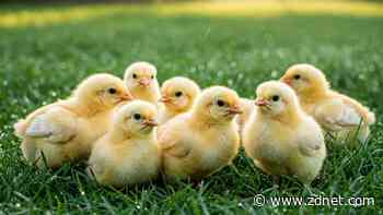 The best AI image generators of 2025: Gemini, ChatGPT, Midjourney, and more