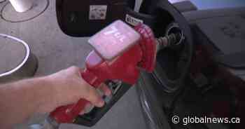 Plunging world oil prices are a mixed blessing for Albertans