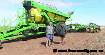 New lupin variety will make a showing at Beverley as grower checks benefits