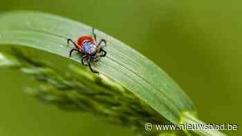Teken in opmars: waarom je de beestjes naar Sciensano moet opsturen