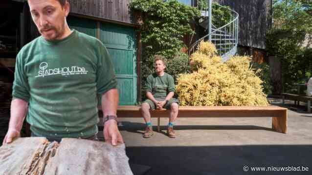 Sam Ponette, de meubelmaker die gevelde stadsbomen een tweede leven geeft: “Er wordt te snel gekapt in Antwerpen”