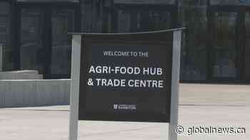 City of Lethbridge considers new options for Lethbridge and District Exhibition