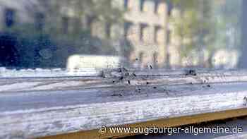 Fenster an Augsburger Schulen sollen erstmals seit vier Jahren wieder geputzt werden