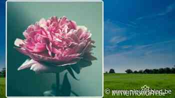 Maria-Theresia Schreurs, 79 jaar