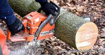 The new planning applications in Greenwich from tree works to home extensions