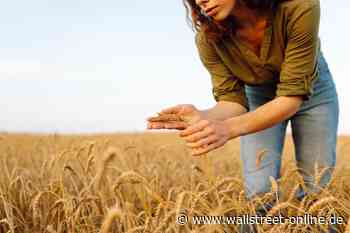 POTASH-PERLE VOR EXPLOSION!: Millennial Potash trifft ins Schwarze – Mega-Ressourcen, starke Bohrtreffer & Infrastruktur-Turbo in Gabun!