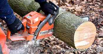 The new planning applications in Greenwich from tree works to home extensions