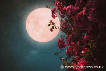 The next full moon is a special 'Flower Moon' and it's coming next week