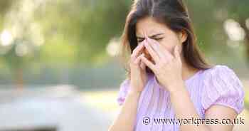 Pharmacists warning of hay fever 'cure' that could pose 'serious health risk'