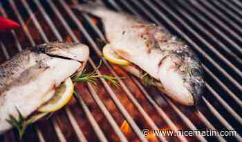 LA RECETTE DU JOUR. Poisson au barbecue