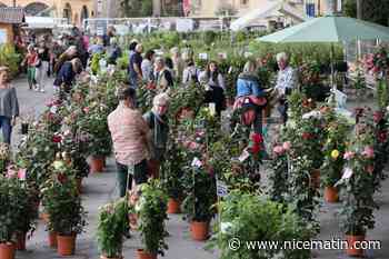 "Ça lance l'été": la manne économique d’ExpoRose, jusqu'à dimanche, est-elle florissante pour Grasse?