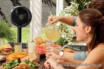 Shoppers rush to snap up Shark fan they say is 'the best they've ever owned'