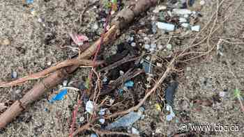 Tiny plastics 'like rice on your kitchen floor' pose hidden pollution risk on Toronto's waterfront