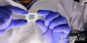 Videoreport - Van zand tot smartphone: zo worden chips gemaakt!