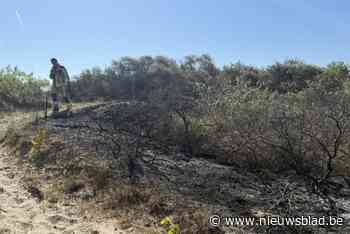 Brandweer moet duinbrand van tweehonderd vierkante meter blussen: “We onderzoeken oorzaak”