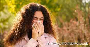 Pharmacists issue urgent warning to anyone who suffers with hay fever