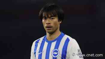 Premier League Soccer: Stream Wolves vs. Brighton Live From Anywhere