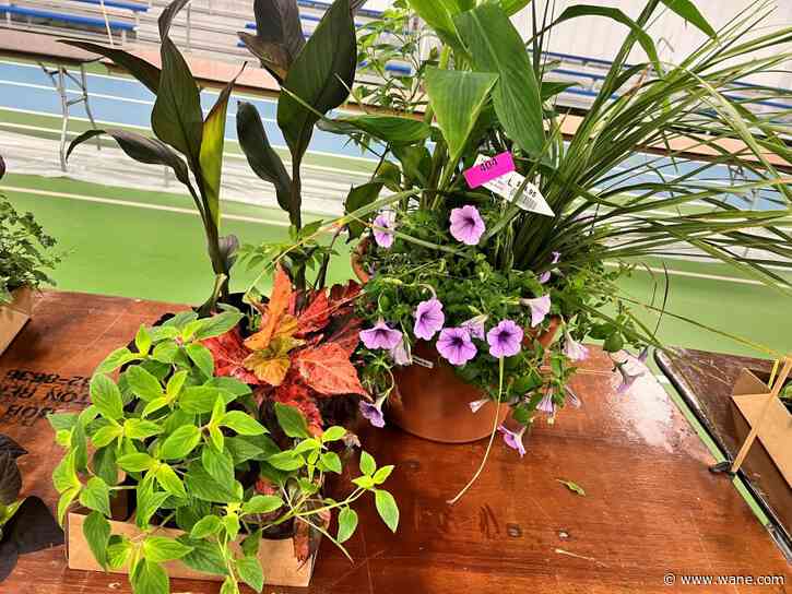 Dig into the Foellinger-Freimann Botanical Conservatory’s annual Mother’s Day Plant Sale