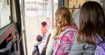 Two 'missing' Welsh schoolchildren turn up in USA